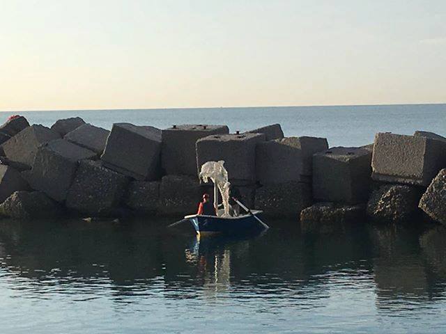 Luci d'Artista a Salerno: ecco i delfini sul Lungomare. Addio ai pinguini
