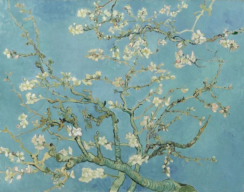 mandorloinfiore-Van Gogh-primavera