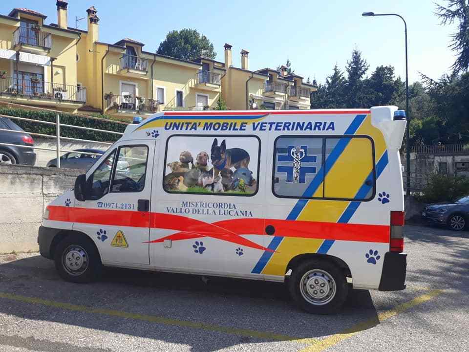 ambulanza-animali