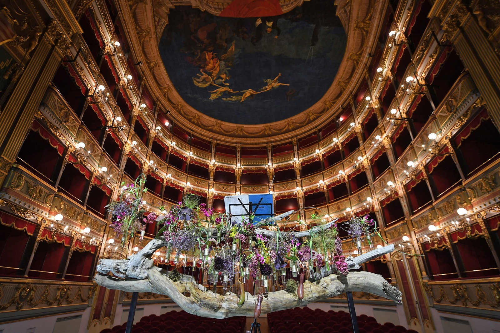 teatro-verdi-salerno-opera-floreale-ezio-bosso-carrella