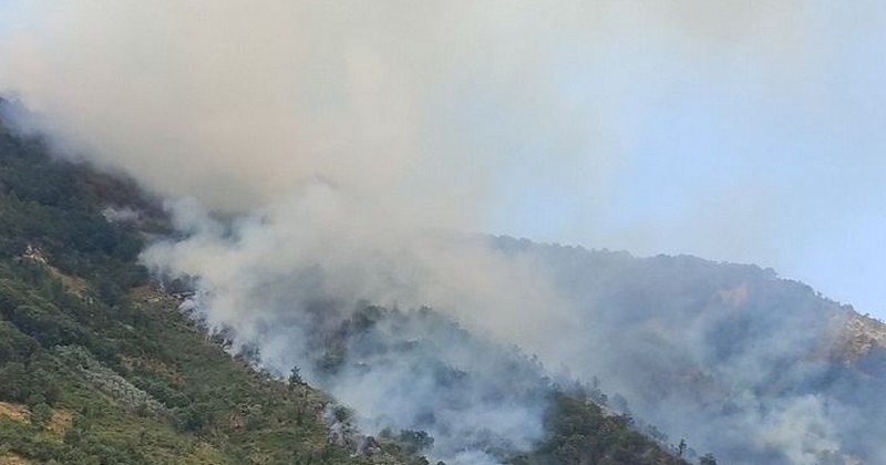 bracigliano-vasto-incendio-monte-airella-24-agosto