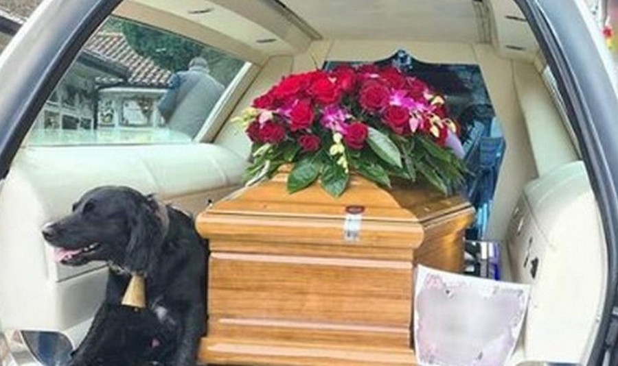 cane-funerale-padrone-bara-cimitero-buonabitacolo