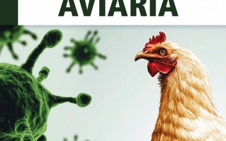 Focolaio influenza aviaria restrizioni 4 gennaio