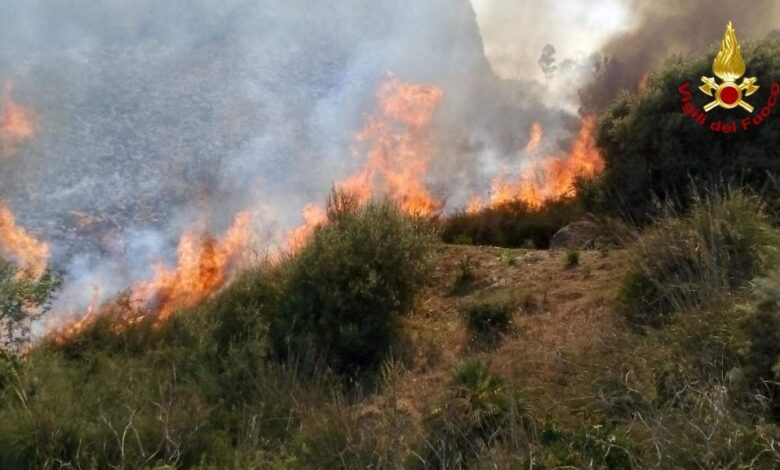 incendio ascea pisciotta macchia mediterranea 12 marzo