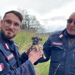 ottati-cane-abbandonato-salvato-adottato-carabinieri