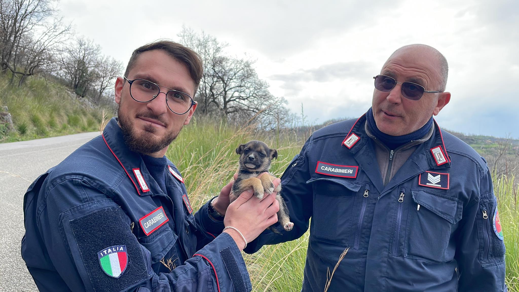 ottati-cane-abbandonato-salvato-adottato-carabinieri
