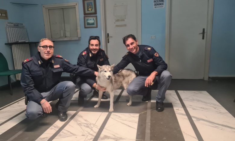 sarno cane disorientato salvato poliziotti
