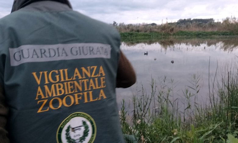 operazione acqua calma controlli zone caccia battipaglia eboli