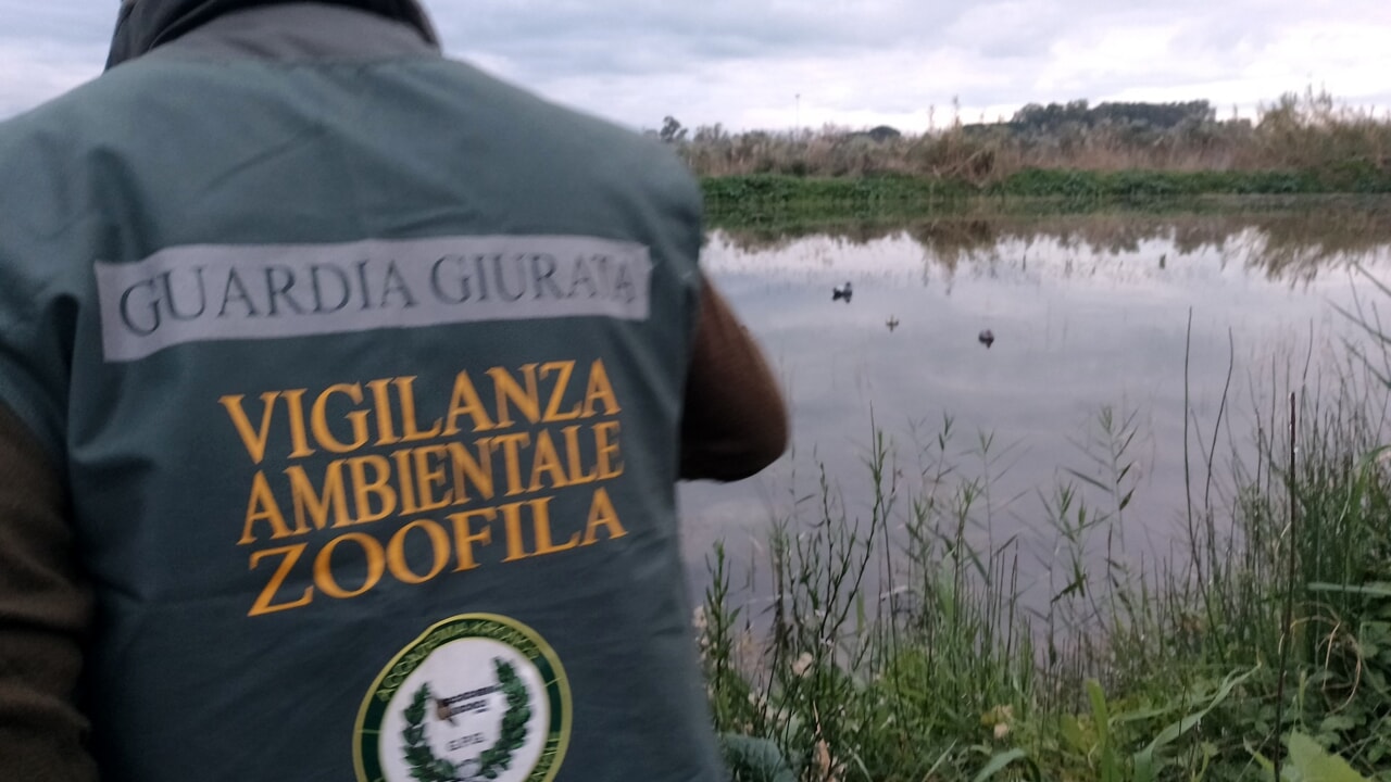 operazione acqua calma controlli zone caccia battipaglia eboli