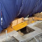 torre orsaia danneggiato presepe pro loco denuncia contro ignoti