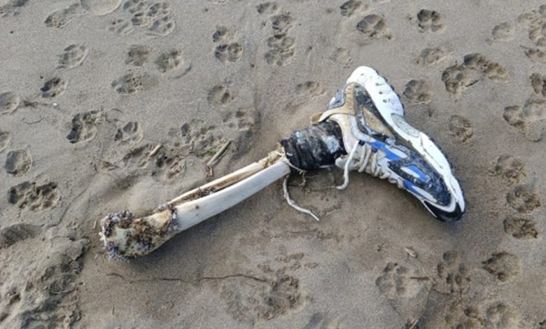 Capaccio Paestum ossa uomo spiaggia licinella
