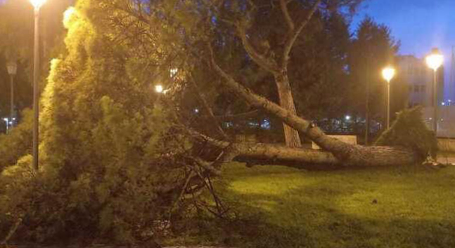 Salerno Parco Arbostella albero crollato