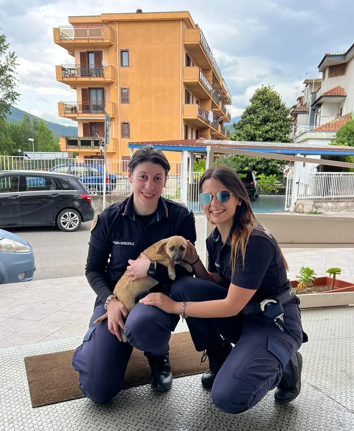roccapiemonte cagnolina salvata agenti polizia municipale
